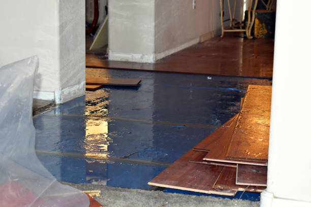 Professional Basement Flood Cleanup technician working in Cedar Grove, IN